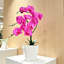 Arrangement de plantes orchidées artificielles Phalaenopsis