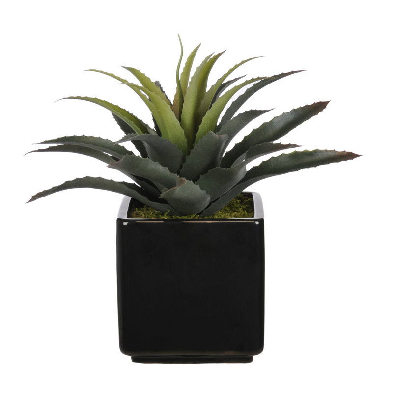 Succulent aloe artificiel 6" en pot