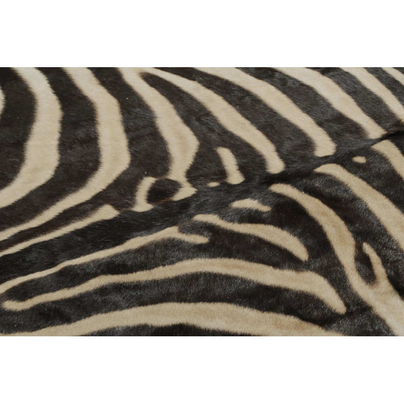 Modern Area Rug