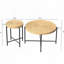 Ensemble 2 pièces tables basses et tables de bout-111461647-111782293