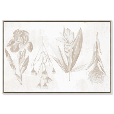Toile Flora blanche pressée par Art Remedy