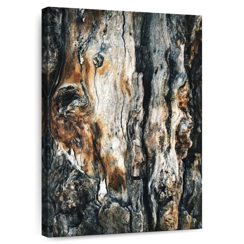 Bois de cendre Harnek, H 39 po x l 26 po