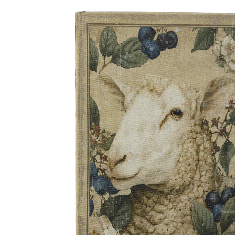 Ensemble de faux livres Rabbit & Sheep