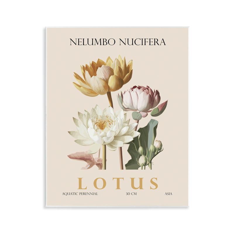 Plaque murale lotus naturel, par Christopher Giampietro