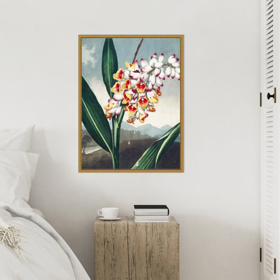 Temple of Flora VII par Dr. robert j. Impression sur toile encadrée Thornton