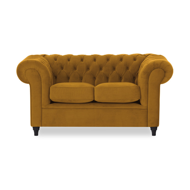 Burks 2 Seater Velvet Loveseat, Mustard