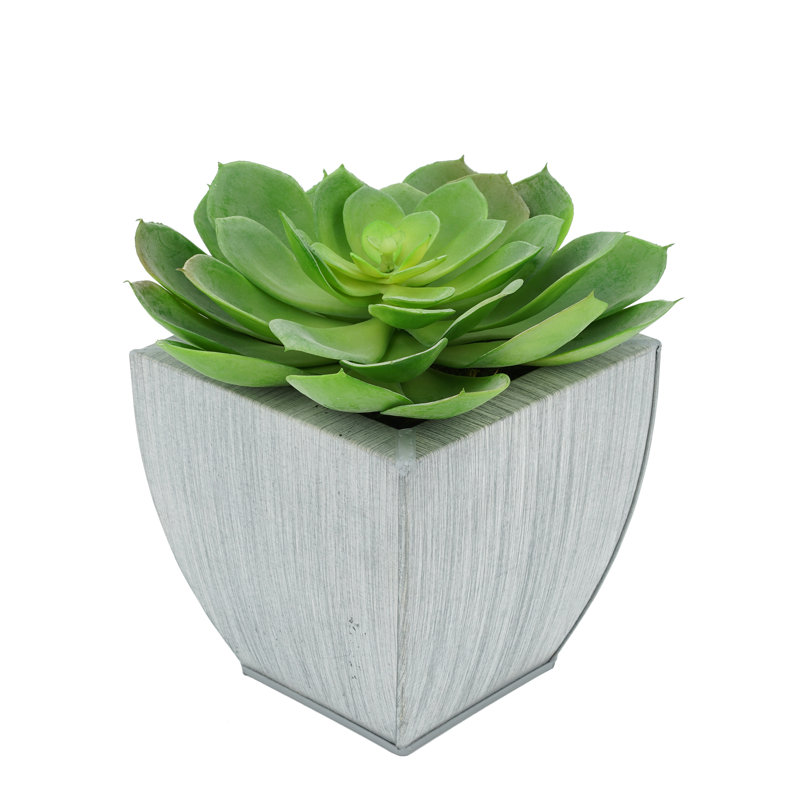 Succulent artificiel 2" en pot, Ferme