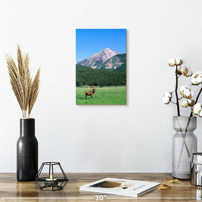 Brampt Coyote Valley Elk, 12" H x 8" W