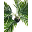 68cm Palm Tree in Pot