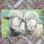 PANKHURST GALLERY Farmhouse Wall Decor on Ceramic