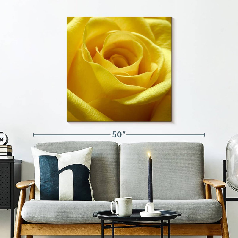 Rose jaune Harnek, H 30 po x l 30 po