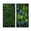 Ensemble de salon Herbs Rosemary Whispers II - Herbs Wall Art-1547113949-1547113951