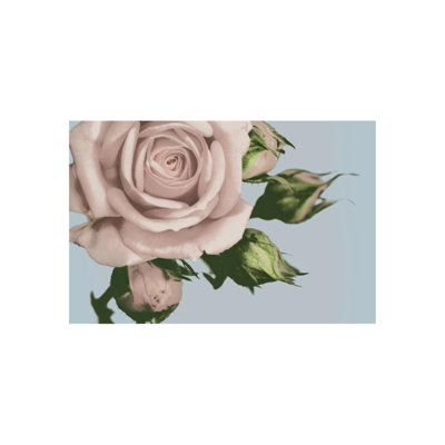 Vintage Florals A Graphic Art by Austin Beiv