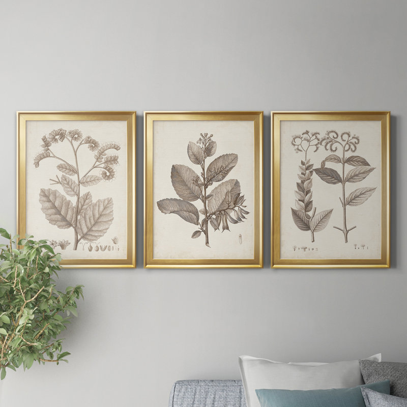Antique sépia botanicals iv - ensemble de 3 peintures sur toile encadrées, H 22,5 po x l 91,5 po x P 1,5 po, Doré