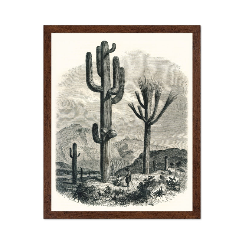 Cactacées de la limite, Poster, Brown Framed, 11"H x 14"W