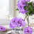 Mauve est en rupture de stock