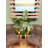 Faux Philodendron Tree-435435323