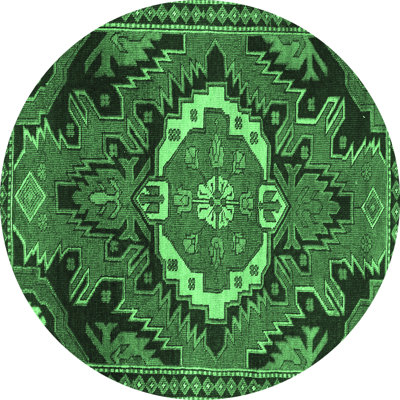 Amreeta Performance Oriental Indoor Rug