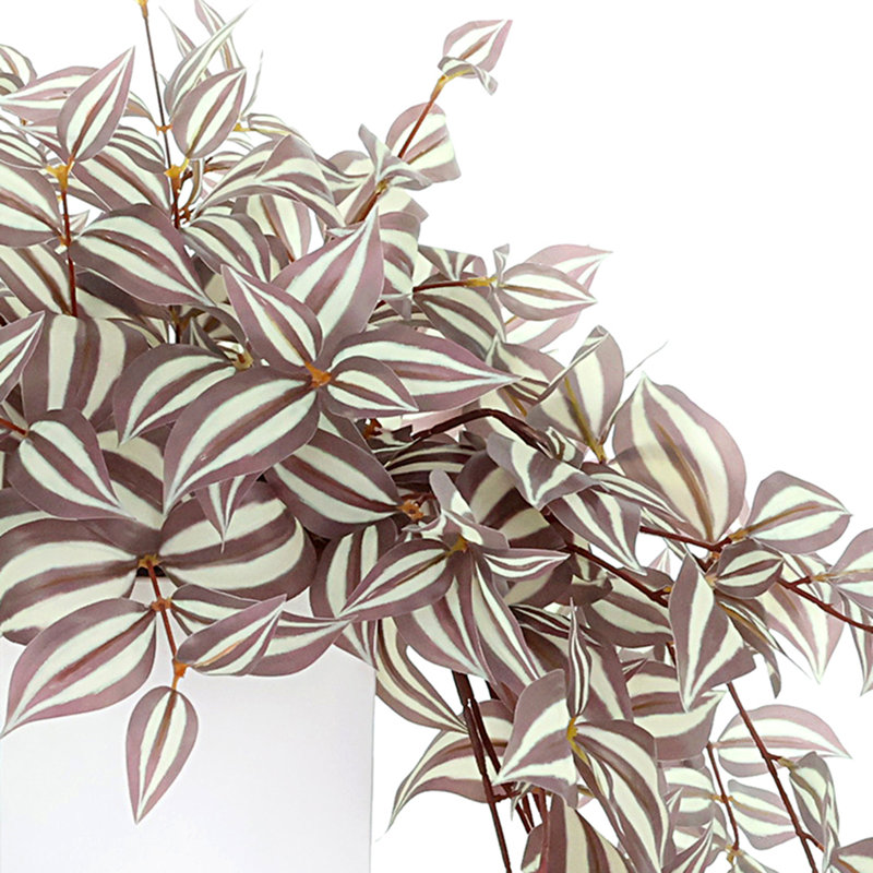 Tradescantia disposée dans un pot en fibre de pierre, 16 x 35 x 35