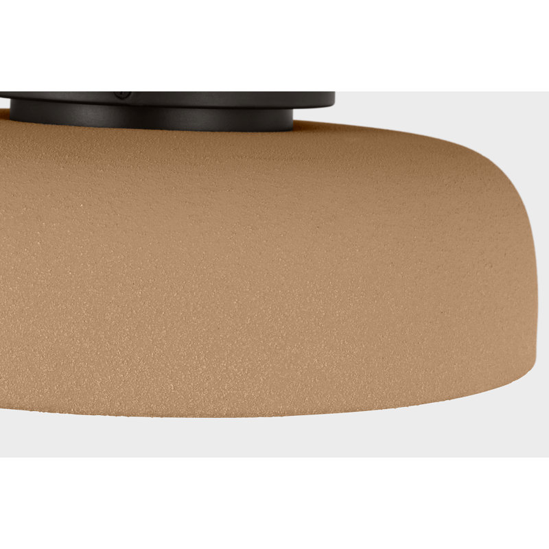 1 - Light Flush Mount, Aged Iron, Toast