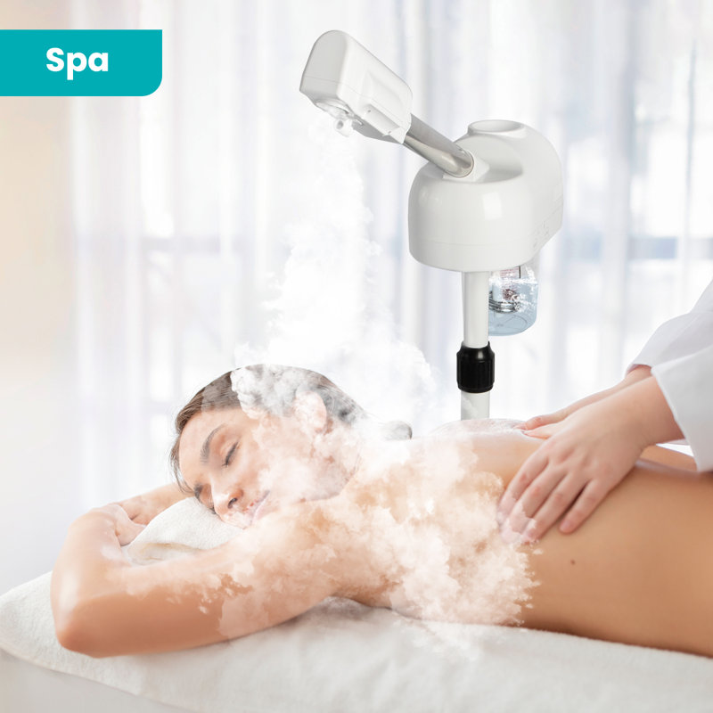 Makeup Organizer Facial Steamer With Ozone & Hot Mist, White