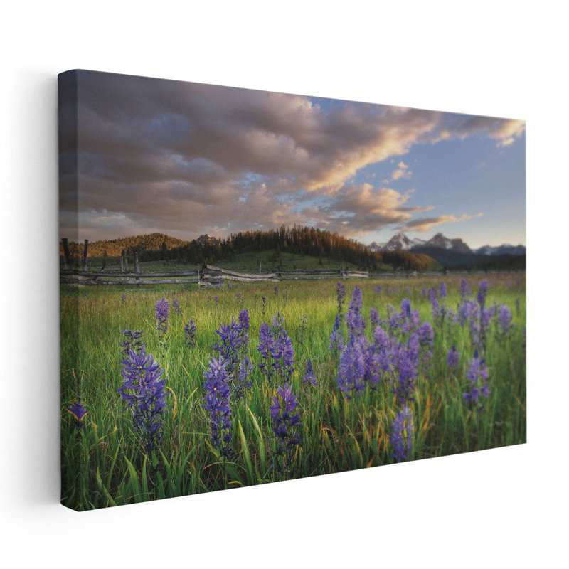 Camas Meadows - reproduction d'art sur toile, H 20 po x l 30 po