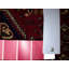 Pragna Oriental Area Rug in Red