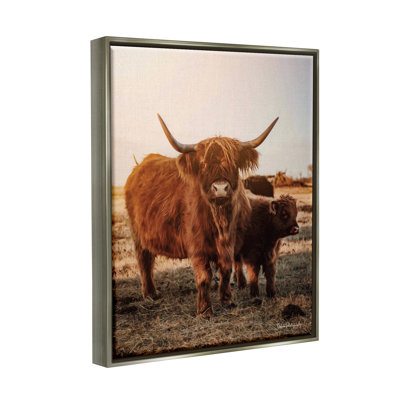 «Longhorn Highland Clever Cow Warm Sunrise Morning» par Dakota Diener, reproduction sur toile flottante
