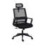 Chaise de bureau ergonomique avec support lombaire et appui-tête réglable