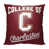 College of Charleston (South Carolina)