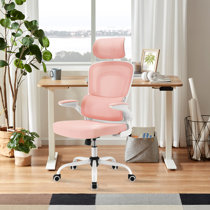 Wayfair  Office Chair Accessories You'll Love in 2024