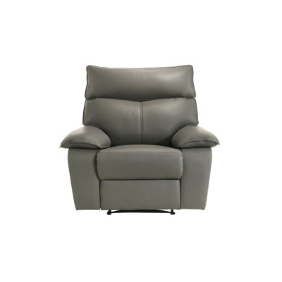 Esma Motion Recliner in Aviarah Grey