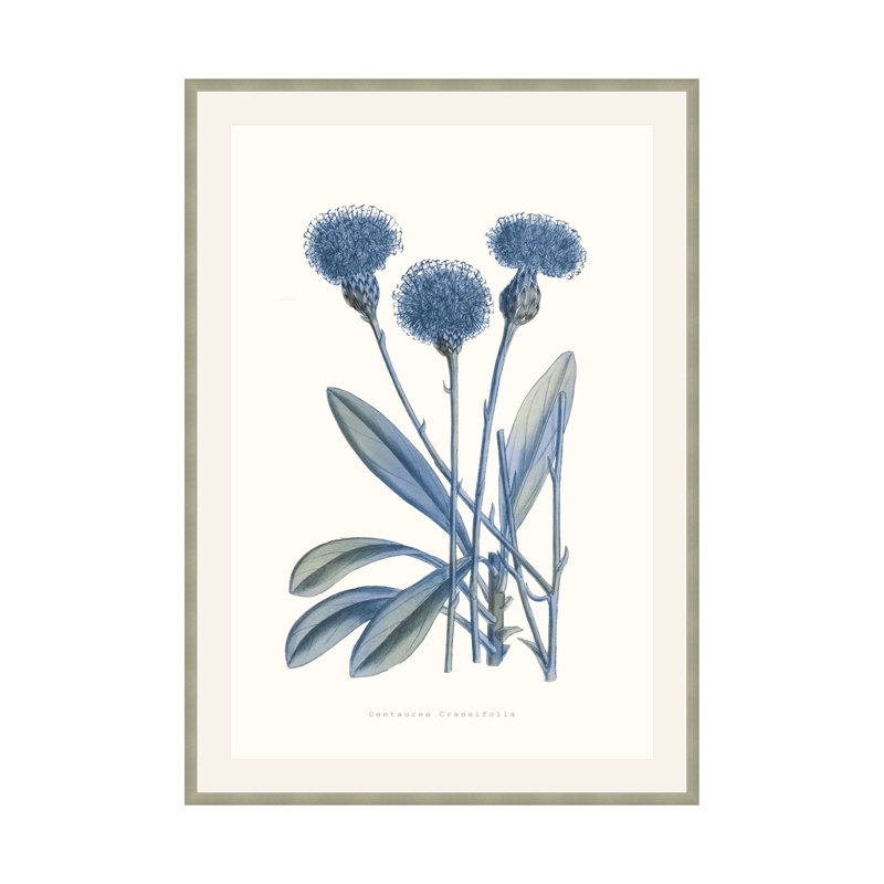 Bouquet Blue 1 Print by Studio L57 Nouvelle, 41.75" H x 29.75" W