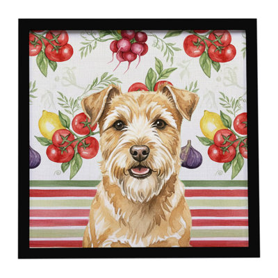 Wheaten Norfolk Terrier Légumes, impression sur métal encadrée