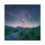 Agave And The Milky Way, Organ Mountains-Desert Peaks National Monument, New Mexico by Tim Fitzharris - Wrapped Canvas Print-426961876