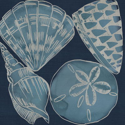 Marine Shells IV by Chariklia Zarris - Wrapped Canvas Painting