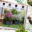 Buchler 2Pcs Galvanised Steel Raised Beds for Garden, 60x60x30cm-503644838