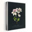 «Truth Dramatic Elegant Modern Modern Geranium Flower», art mural-1884778620