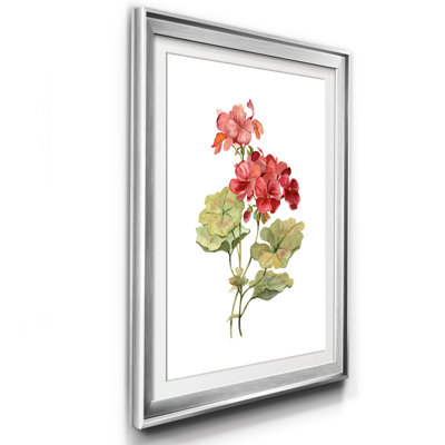 " Scarlet Geranium " Painting Print