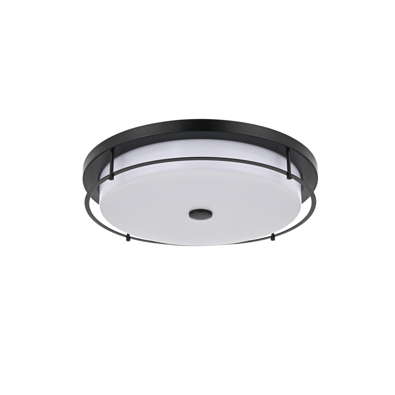 Ashok 20 inch LED Flush Mount, Black