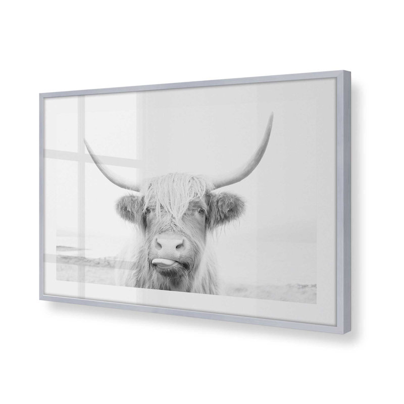 Imprimé de vache Highland ludique, Cadre en chrome poli, H 25,25 po x l 37,25 po x P 1,25 po
