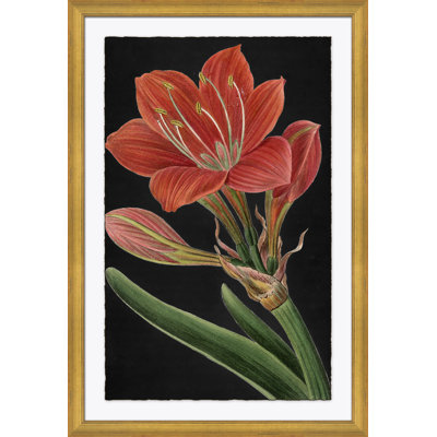 " Red Flower Large "