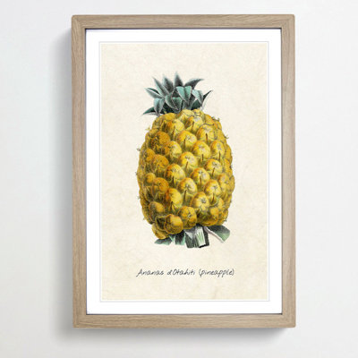 Illustration of a Pineapple - Framed Print