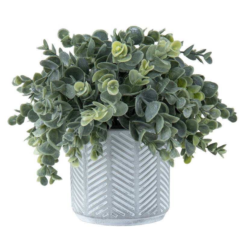 Artificial Eucalyptus Plant in Geometric Pot
