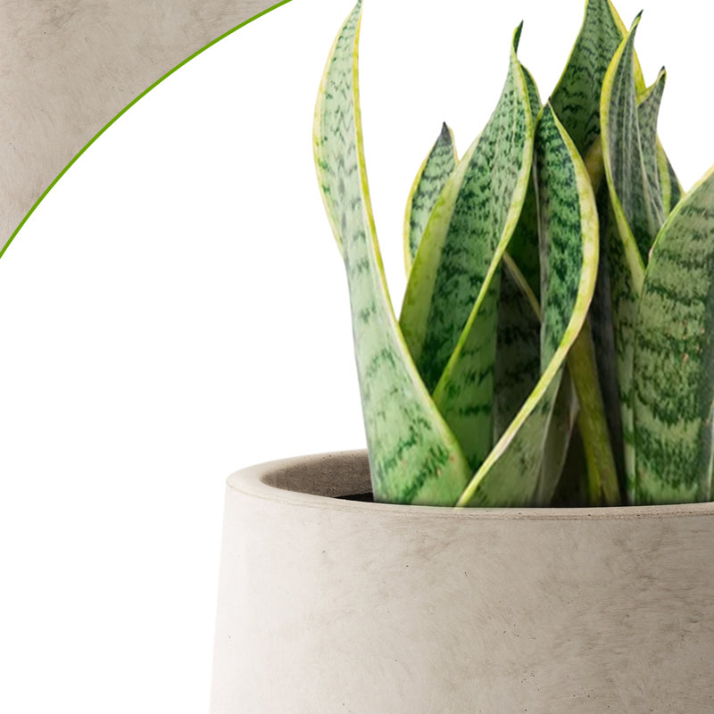 Grand pot à fleurs Brenno, H 17,32 po x l 16,54 po x P 16,54 po, Gris granite