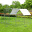 Adriell Walk In Chicken Run-905974993
