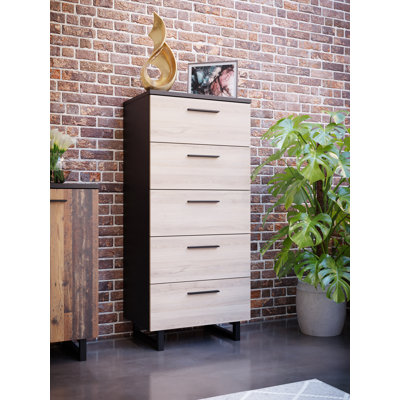 Baek 60.4cm W 5 - Drawer Chest of Drawers