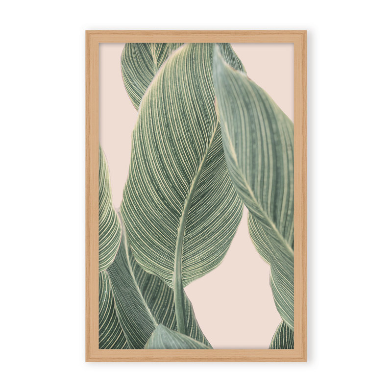 Coastal Retreat Calla Leaf by  - Picture Frame Graphic Art on Paper, 48" H x 32" W x 1.125" D, Framed Matted Print, Beige