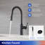 Robinet de cuisine rétractable Rainlex-91854638