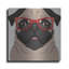 "Carlin portant des lunettes de hipster 6" par Furbaby Affiliates-271133045